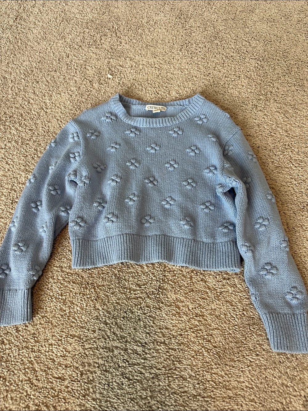 Crewcuts Powder Blue Floral Textured Crewneck Sweater